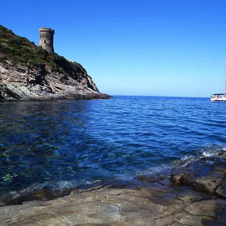 Hotell Alivi 4*