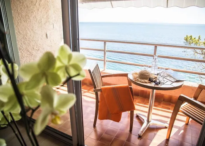Hotel Alivi 4*