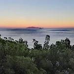 Hotel Alivi 4*
