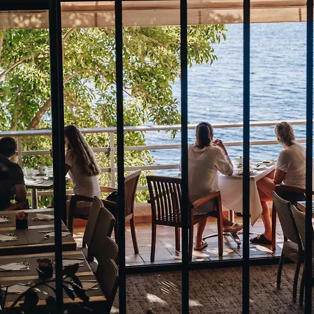 Alivi Ville-di-Pietrabugno