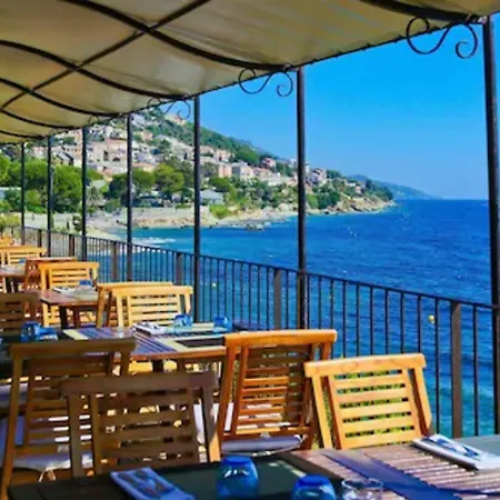 Hotel Alivi