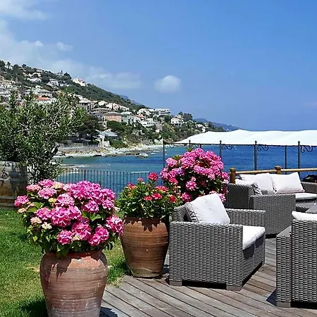 Hotel Alivi