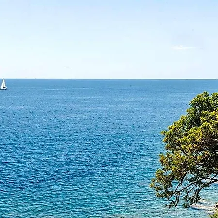 Hotel Alivi 4*