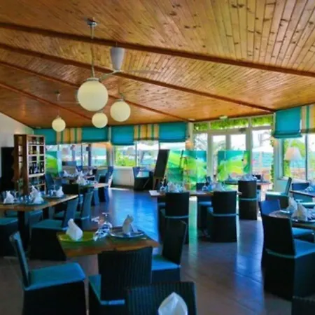 Hotel Alivi 4*