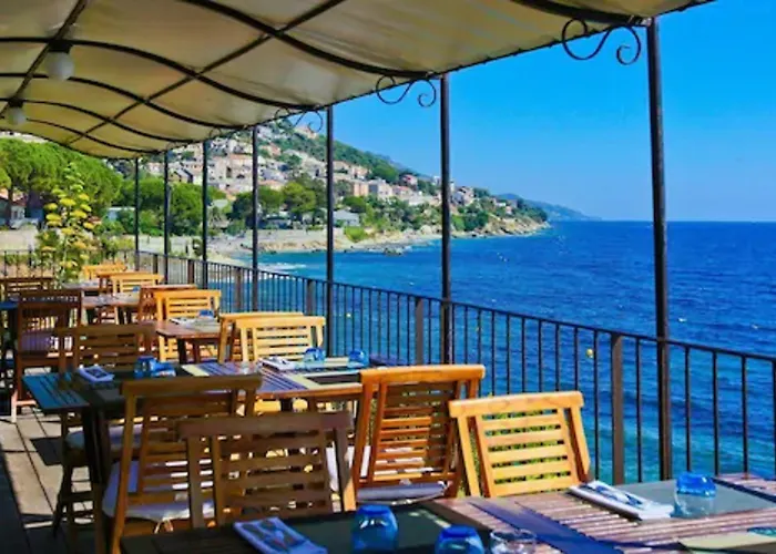 Hotel Alivi